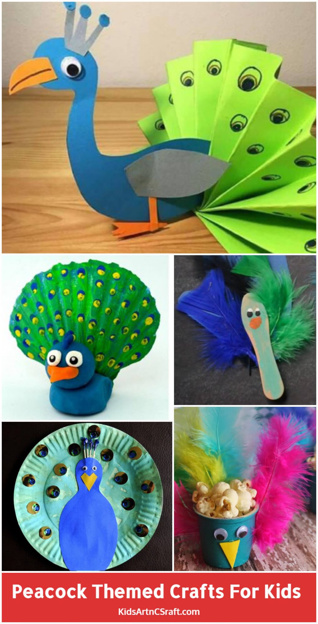DIY Pretty Peacock Themed Crafts for Kids! Kids Art & Craft