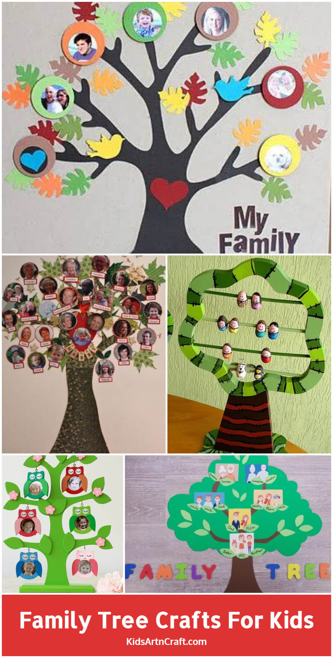 Family Tree For Kids Project - DIY Ideas for School Children