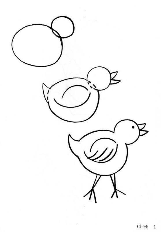 Bird Drawing Step by Step Drawing