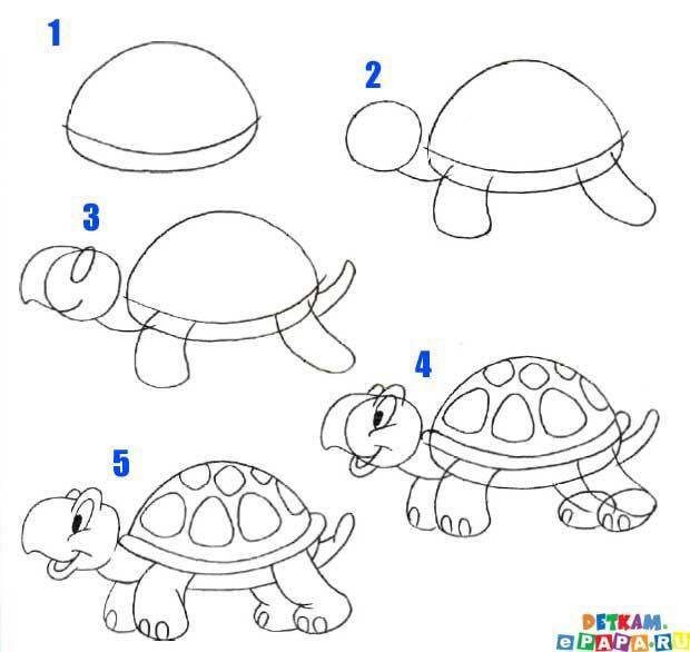 Turtle Drawing Tutorial Step by Step Guide