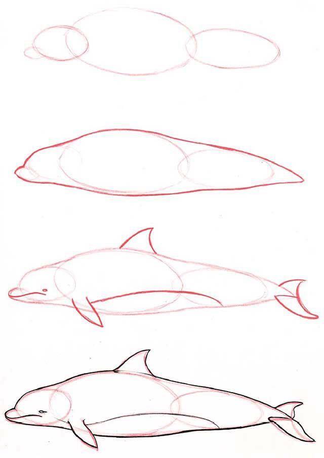 Whale Drawing Tutorial