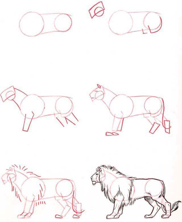 Creative Lion Step by Step Drawing