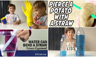 Scientific Crafts for Toddlers Using Straws - Cool Science Projects