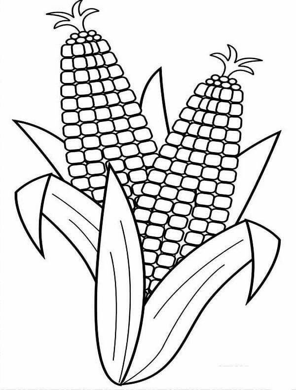 . Vegetable Pictures to Print and Color for Little Ones