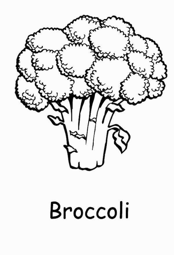 Downloadable Vegetable Coloring Pages for Children