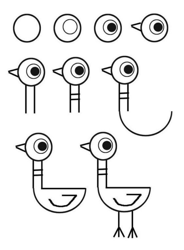 Easy to Draw Step by Step Bird Drawing