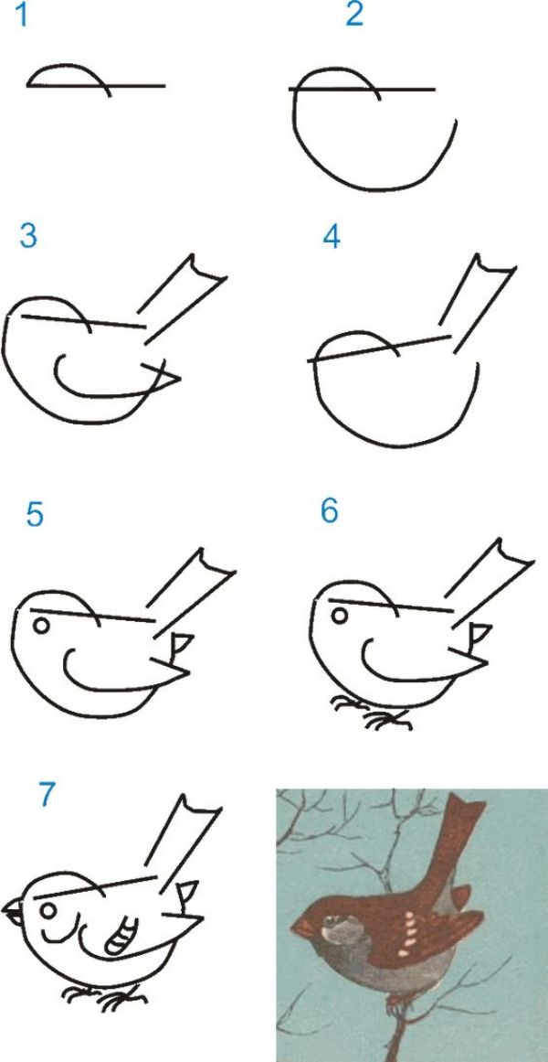 Easy to Draw Bird Drawing