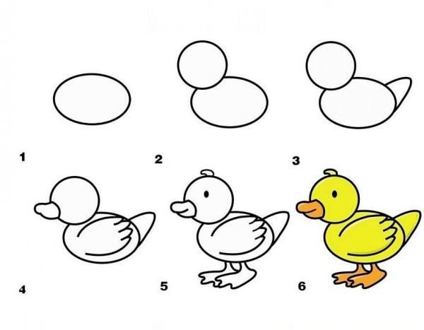 How to Draw Animals - Duck Step by Step Drawing