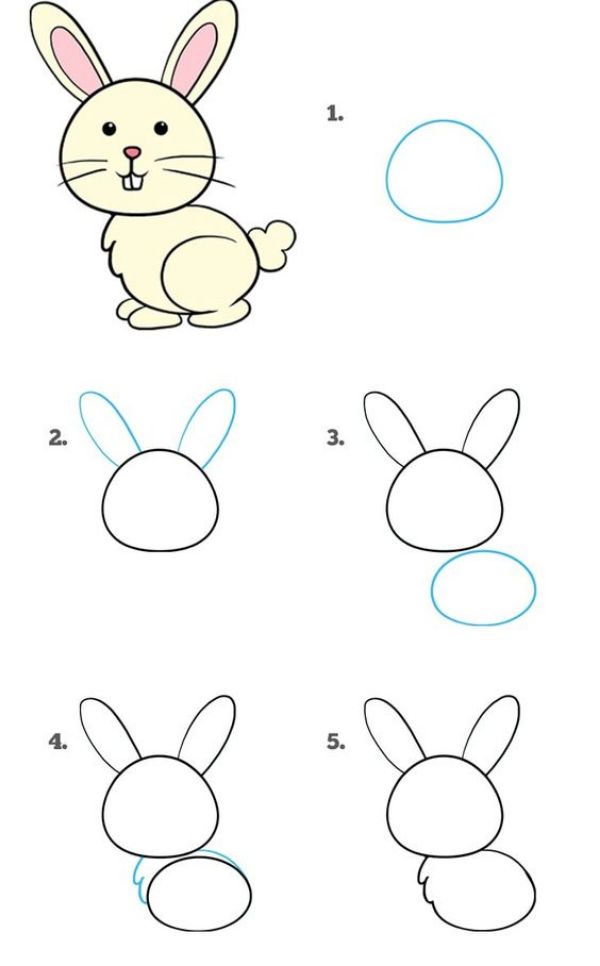 Step by Step Bunny - Easy to draw animals