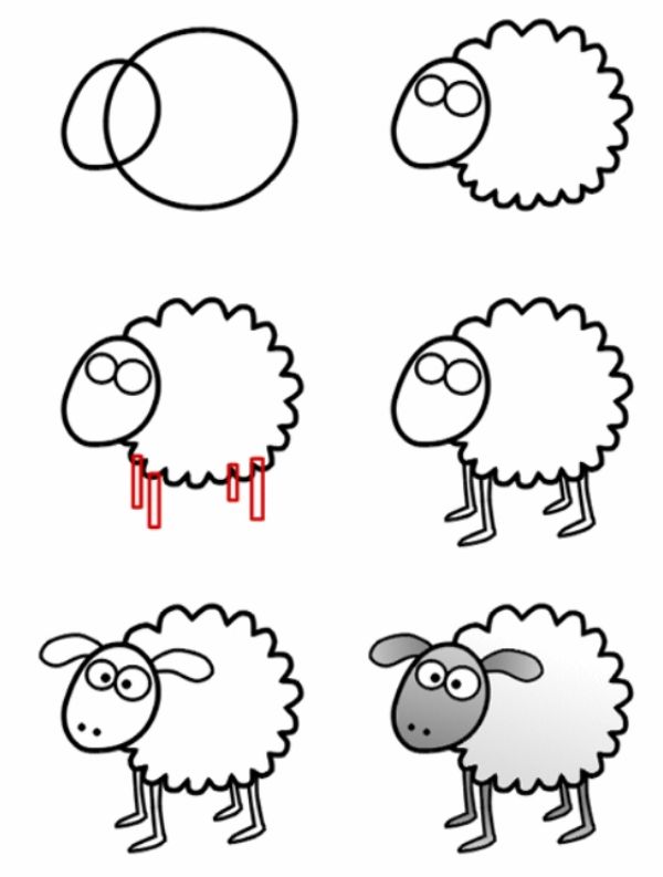 Sheep Step by Step Drawing
