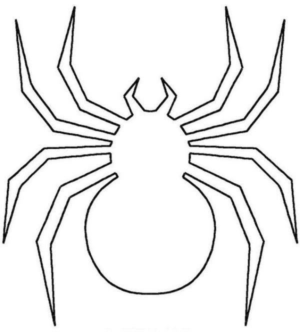 Spider Art