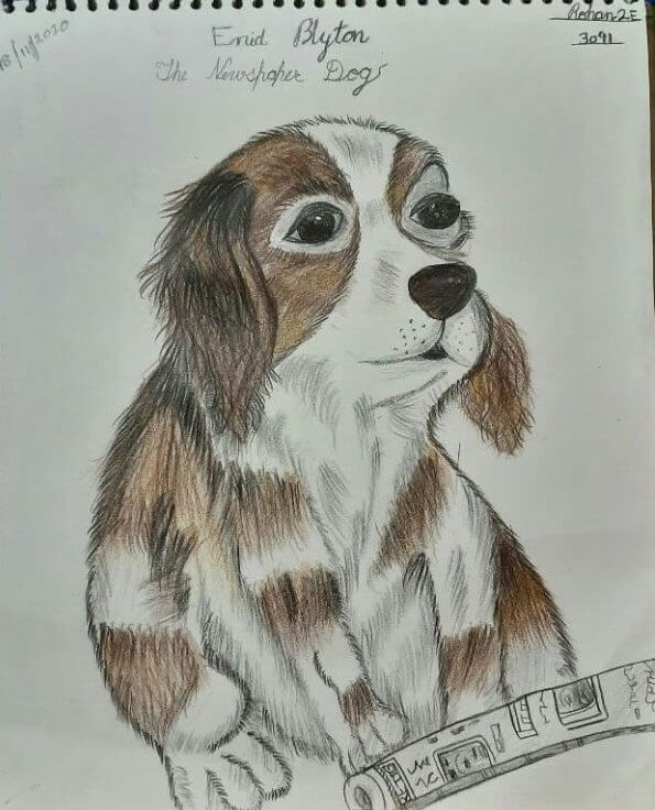 An Adorable Beagle Puppy