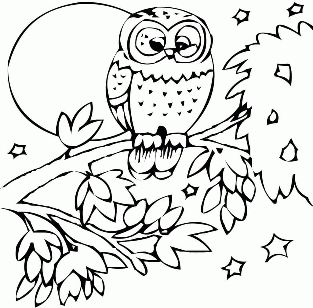 Pretty Owl  Animal-Centric Coloring Printables for Little Ones 