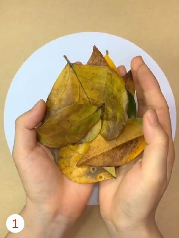 How to Make Dry Leaf Art Project Step by Step Instructions Easy Tutorial