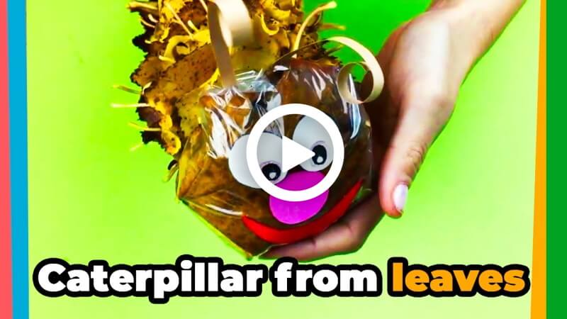 How to make a DIY Autumn Craft - Caterpillar