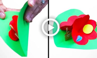 How to make a Paper Butterfly - DIY Folding Butterfly - Paper Craft