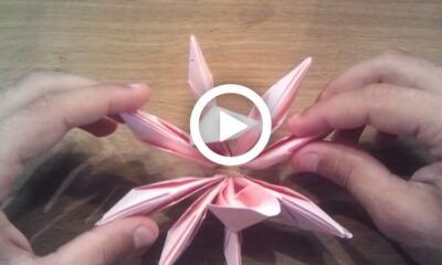 How to Make an Origami Lotus Flower