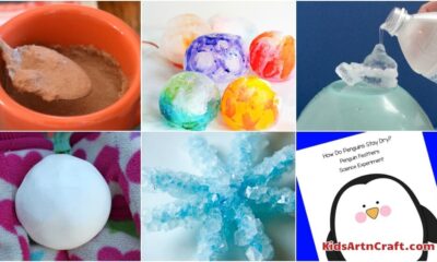 Ice Science Experiments For Kids