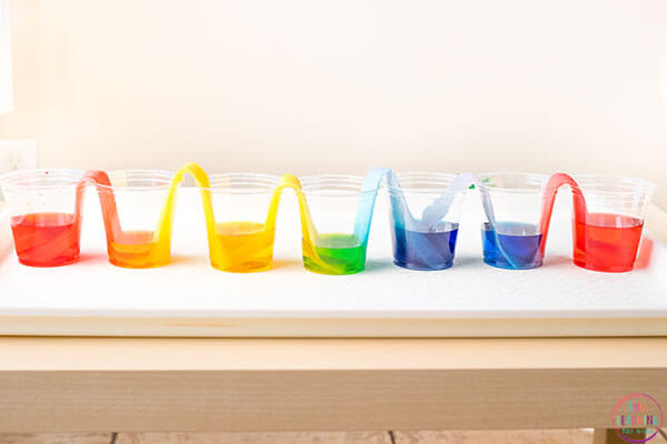 Rainbow Walking Water Science Experiment 