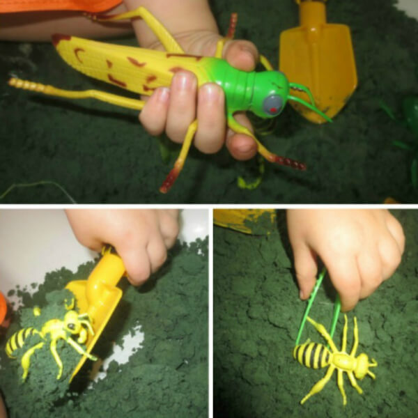 Play With Dirt Ideas For Kids Bug Finding Activity in Mud Ground