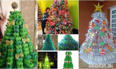 Christmas Tree Made Out of Recycled Plastic Bottles for Decoration