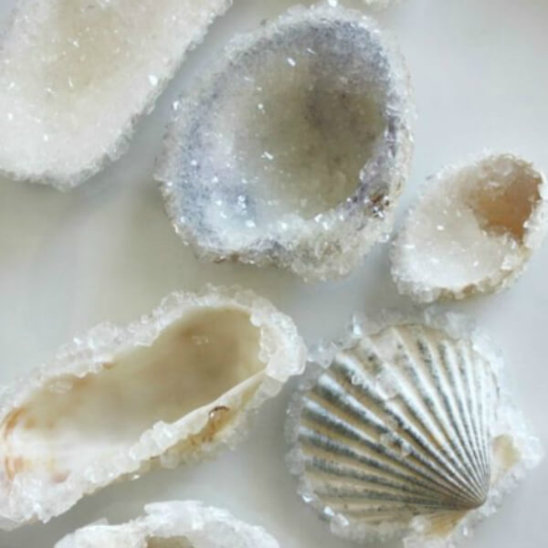 Crystal Seashells