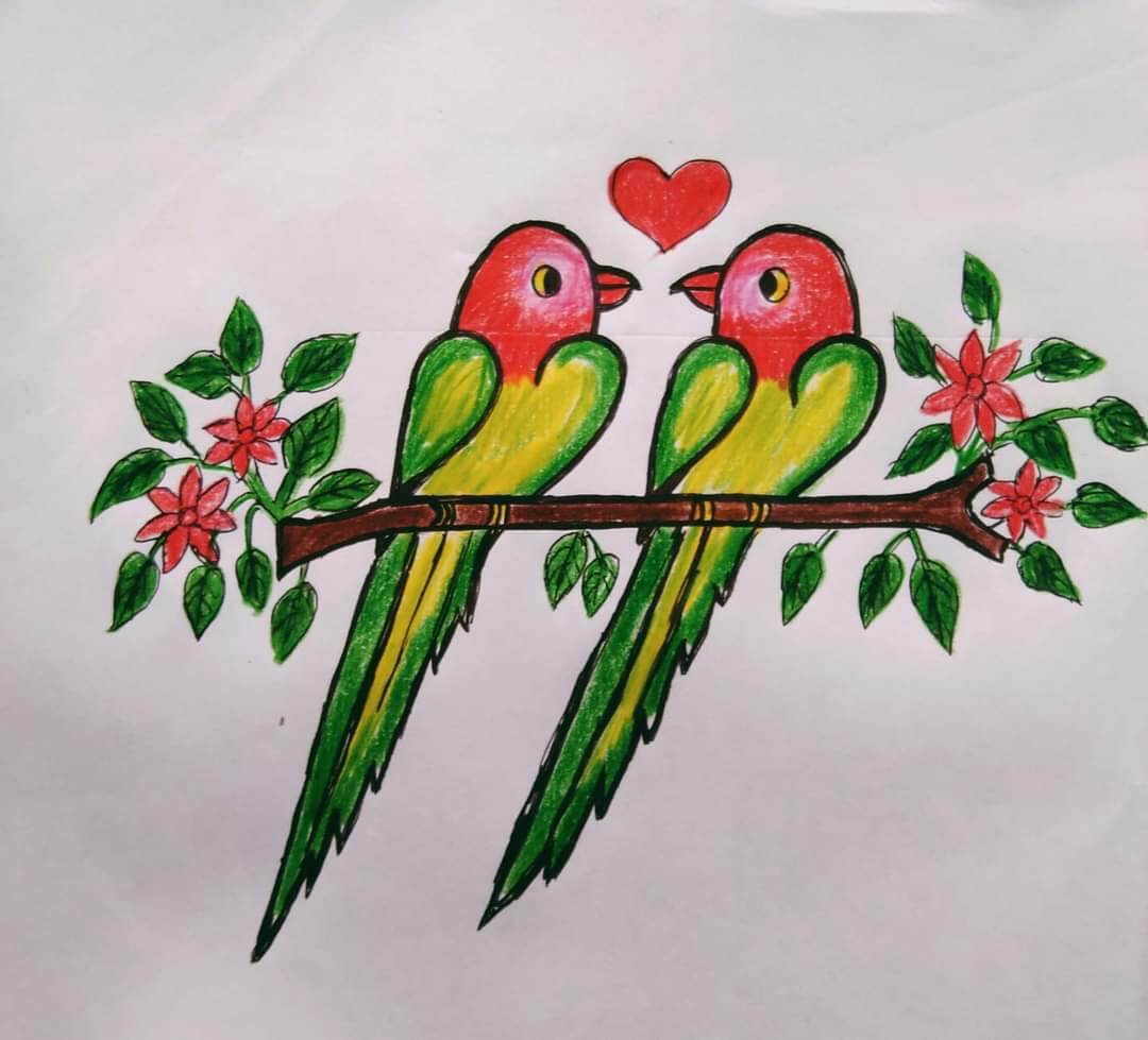 Cute Parrot Couple Drawing Step by Step Tutorial