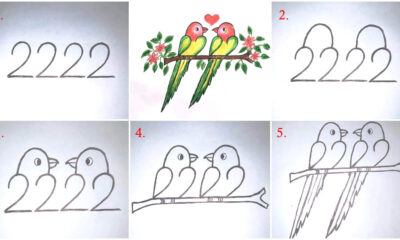 Cute Parrot Couple Drawing Step by Step Tutorial