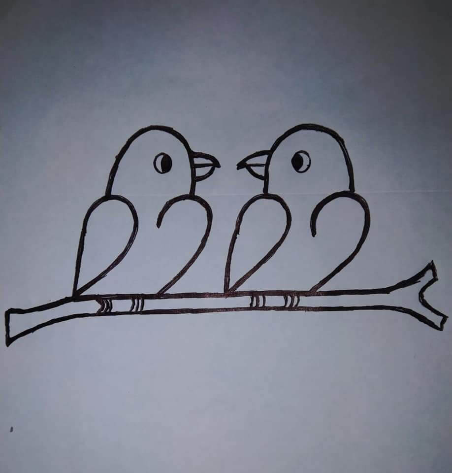 Fourth step: Drawing the parrot and the branch