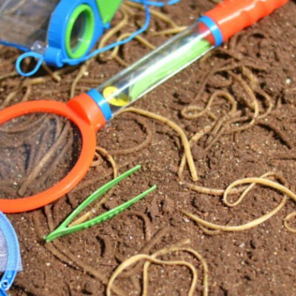 Play With Dirt Ideas For Kids Sensory Play with Dirt and Worms
