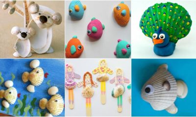Easy Seashell Crafts and Activities For Kids