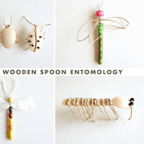 Learn The Spoon Entomology - Interesting Spoon Crafts for Youngsters