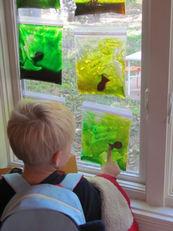 Colorful Squishy Fishy Aquariums Learning Activities For Toddlers