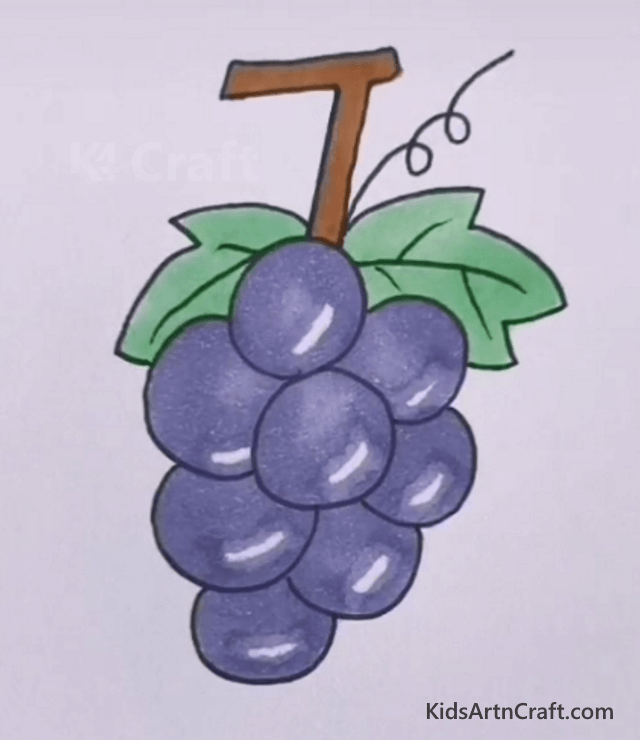 Cute purple grapes Fruits Drawing for Kids