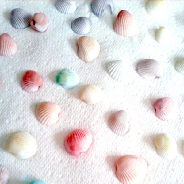 Dye Seashells