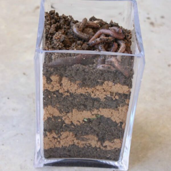 Play With Dirt Ideas For Kids A Cool Worm Observation Jar