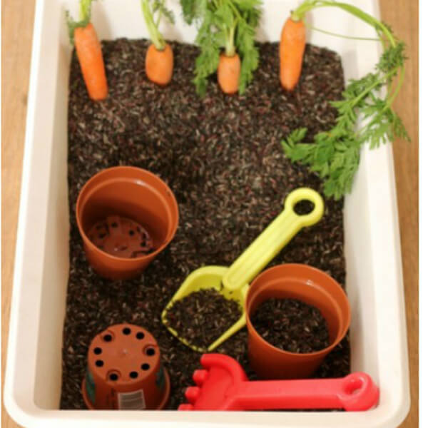 Carrot Growing Game with Soil