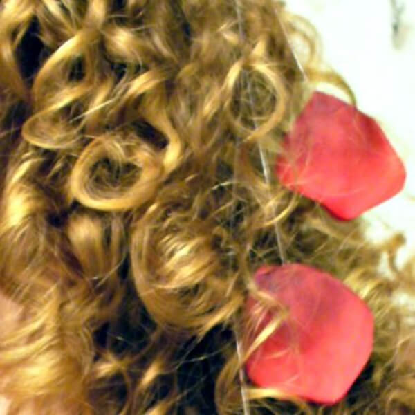 Rose Petals Hair Clips