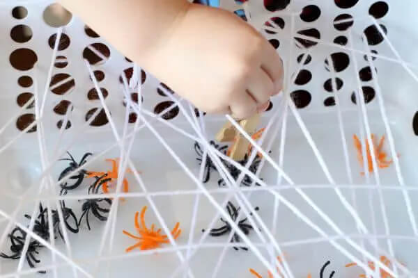 Welcome to spider world! DIY Spider Craft Ideas For Kids