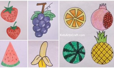 Fruits Drawing for Kids