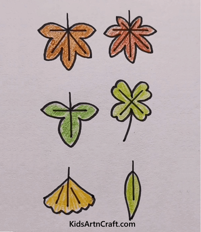 DIFFERENT TYPES OF LEAVES