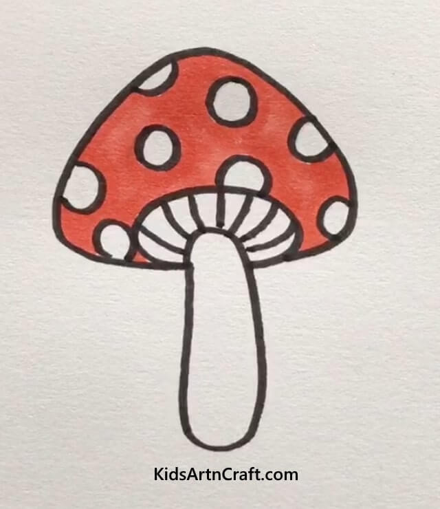White Buttoned Mushroom