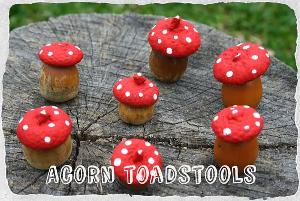 Acorn Mushrooms, Acorn Craft Ideas For Kids
