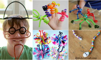 DIY Pipe Cleaner Craft & Activities For Kids