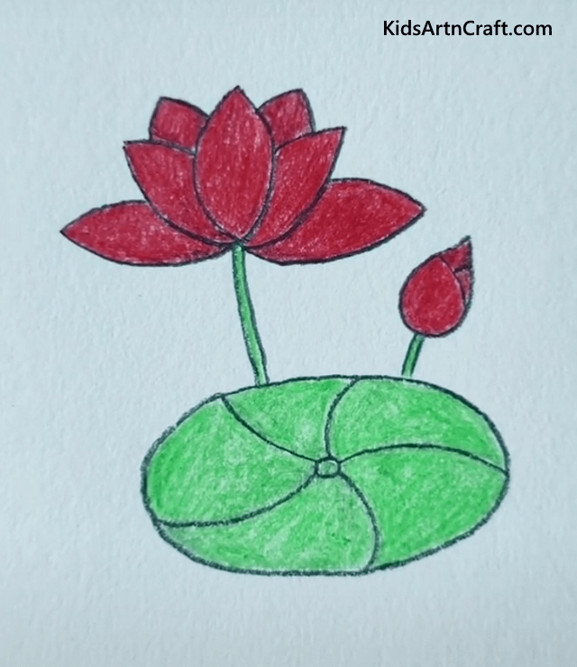 Floating Lotus Drawing - Learn to Draw Tree, Plants and Leaf