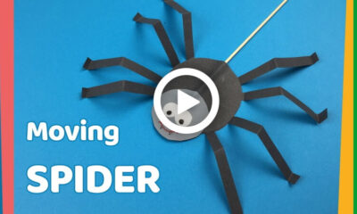 How to Make a DIY Paper Moving Spider