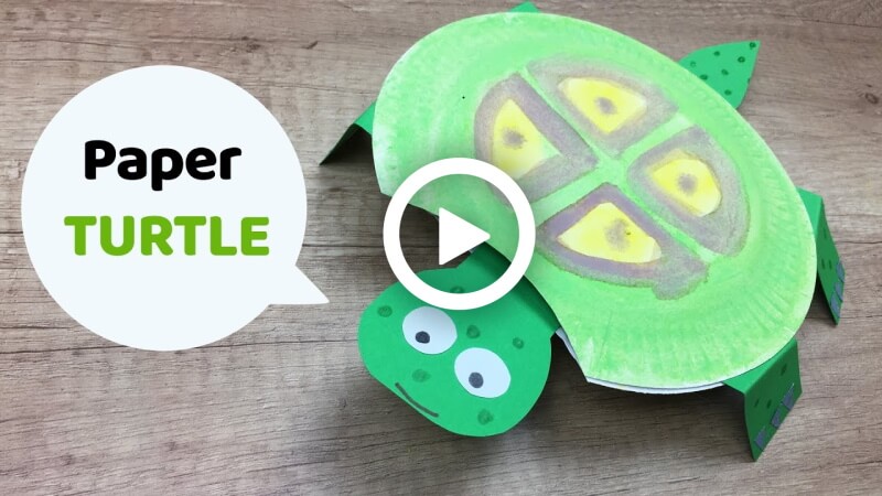 How to Make Cute Turtle - Paper Craft for Kids
