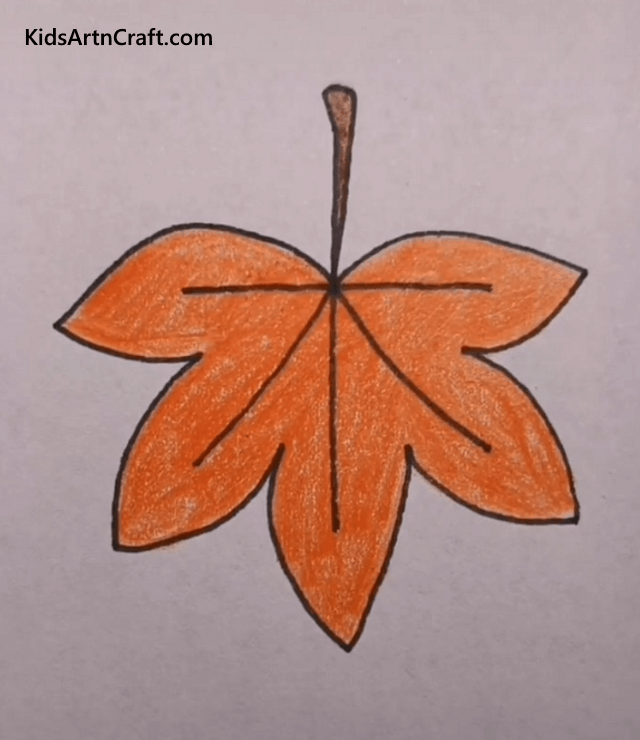 Maple Leaf Drawing - Learn to Draw Tree, Plants and Leaf