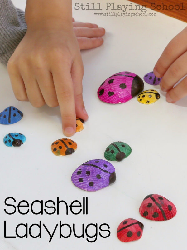 Seashell Ladybug Ladybug Crafts For Kids
