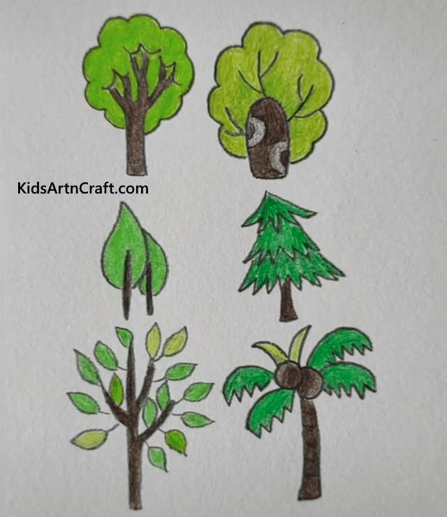 Green Trees Drawing - Learn to Draw Tree, Plants and Leaf